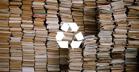 Can I Put Books in the Recycle Bin: A Multidimensional Discussion