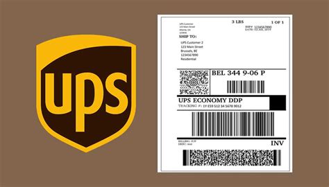 How to Print Labels at UPS: A Detailed Guide with Insightful Perspectives